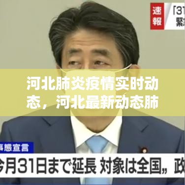 河北肺炎疫情实时动态,河北最新动态肺炎