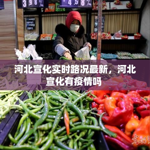 河北宣化实时路况最新,河北宣化有疫情吗