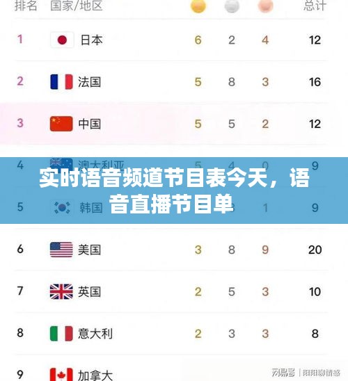 实时语音频道节目表今天，语音直播节目单 