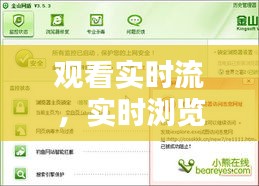 观看实时流,实时浏览