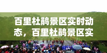 百里杜鹃景区实时动态，百里杜鹃景区实时动态视频 