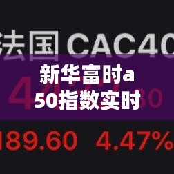新华富时a50指数实时情况,新华富时a50指数实时行情