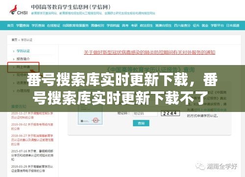 番号搜索库实时更新下载,番号搜索库实时更新下载不了