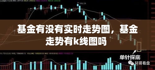 基金有没有实时走势图，基金走势有k线图吗 