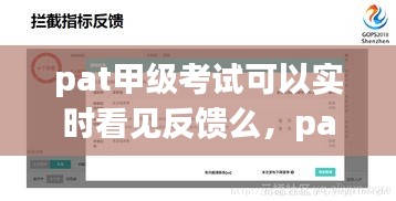 pat甲级考试可以实时看见反馈么，pat甲级成绩 