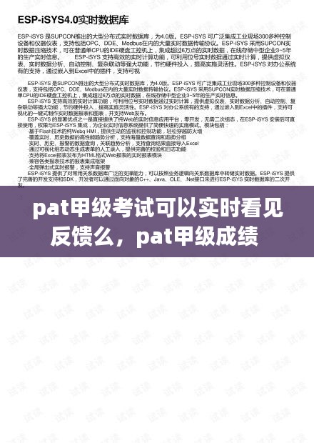 pat甲级考试可以实时看见反馈么,pat甲级成绩