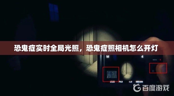 恐鬼症实时全局光照，恐鬼症照相机怎么开灯 