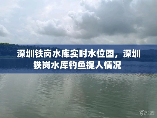 凤凰于飞 第3页