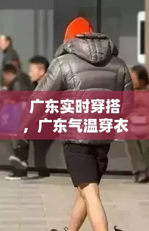 广东实时穿搭,广东气温穿衣指南