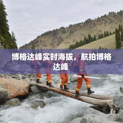 鸟声兽心 第4页