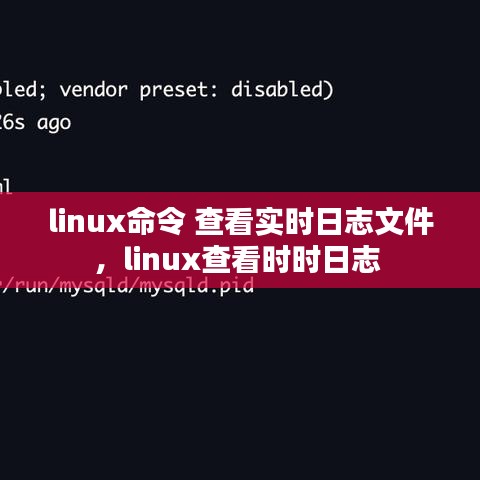 linux命令 查看实时日志文件，linux查看时时日志 