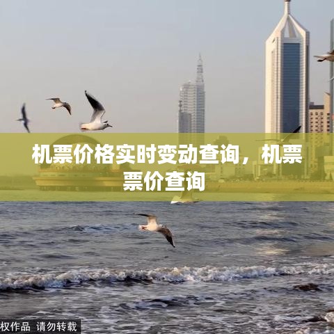机票价格实时变动查询，机票票价查询 