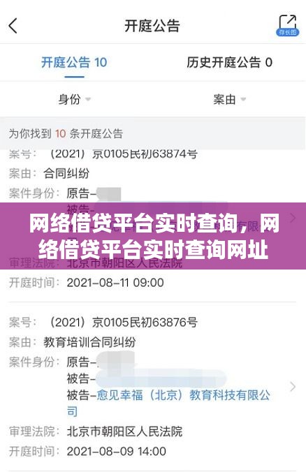 网络借贷平台实时查询,网络借贷平台实时查询网址