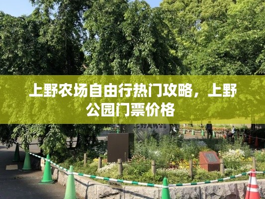 量入为出 第4页