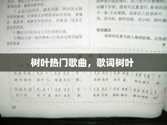 树叶热门歌曲,歌词树叶