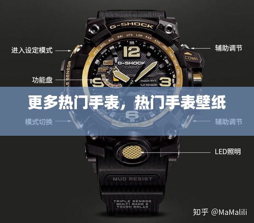 堂堂正正 第3页