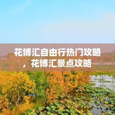 花博汇自由行热门攻略,花博汇景点攻略