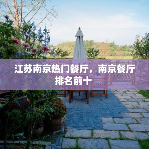 江苏南京热门餐厅,南京餐厅排名前十