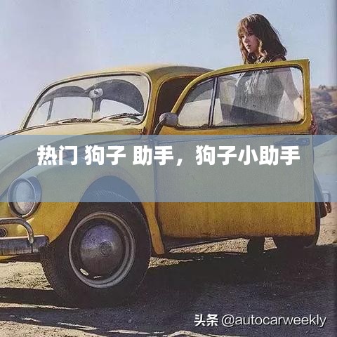 热门 狗子 助手,狗子小助手
