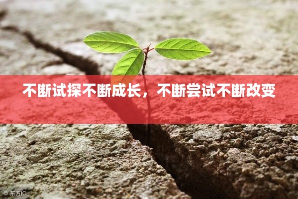 精雕细刻 第4页