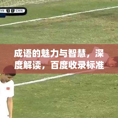 成语的魅力与智慧,深度解读,百度收录标准吸睛标题推荐