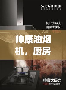 帅康油烟机,厨房高效助手,百度力荐!