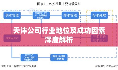 天泮公司行业地位及成功因素深度解析