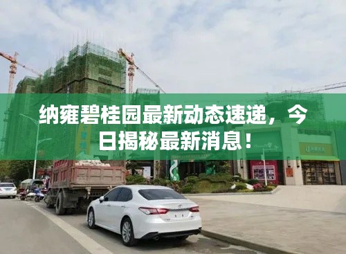 纳雍碧桂园最新动态速递,今日揭秘最新消息!