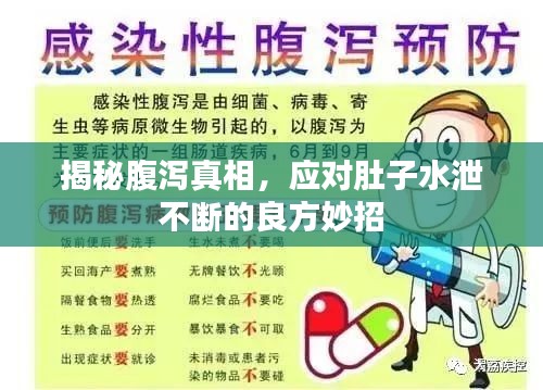 揭秘腹泻真相，应对肚子水泄不断的良方妙招