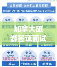 加拿大旅游签证面试指南,全方位攻略助你成功面试!