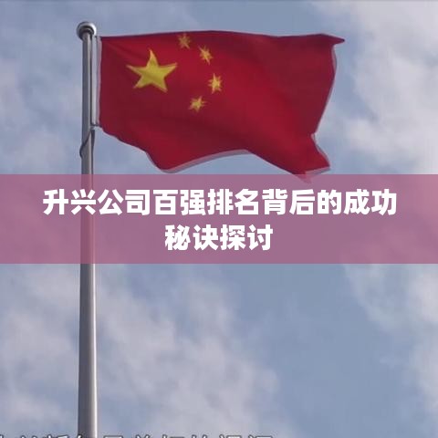 升兴公司百强排名背后的成功秘诀探讨