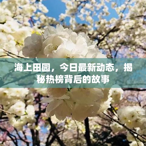 海上田园,今日最新动态,揭秘热榜背后的故事