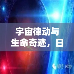 莺啼鸟啭 第3页