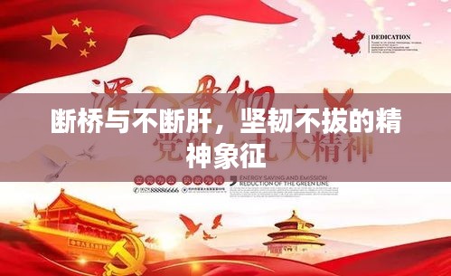 断桥与不断肝,坚韧不拔的精神象征