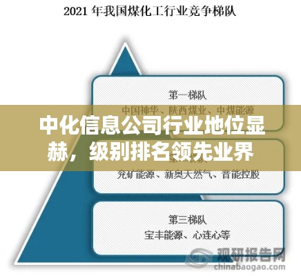 中化信息公司行业地位显赫，级别排名领先业界