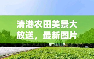 知错就改 第3页