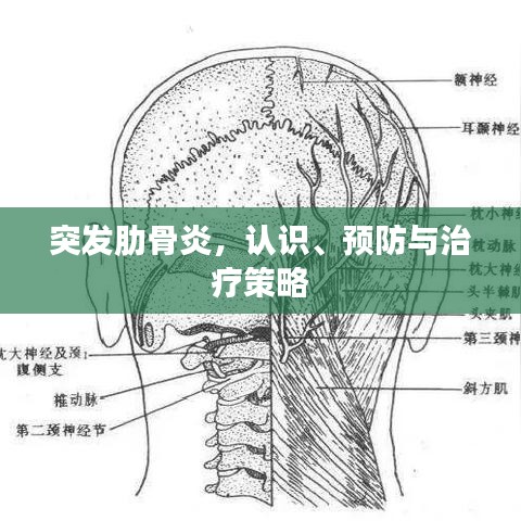 突发肋骨炎，认识、预防与治疗策略