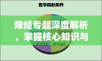 烯烃专题深度解析,掌握核心知识与应用