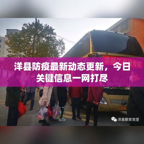 洋县防疫最新动态更新，今日关键信息一网打尽