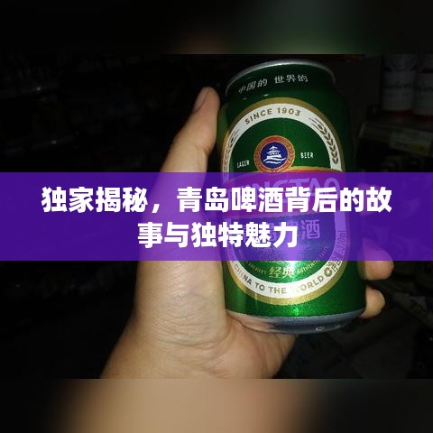 独家揭秘,青岛啤酒背后的故事与独特魅力