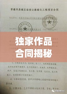 独家作品合同揭秘,出版发行的法律保障与权益保障重磅标题