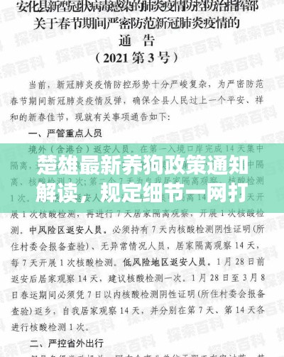楚雄最新养狗政策通知解读,规定细节一网打尽!