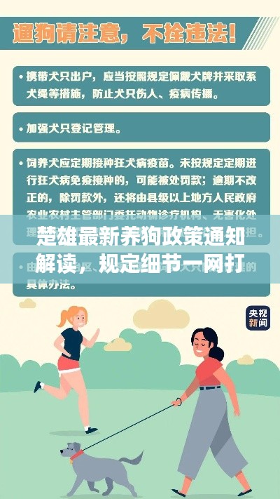 楚雄最新养狗政策通知解读,规定细节一网打尽!