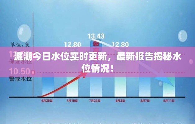 漉湖今日水位实时更新,最新报告揭秘水位情况!