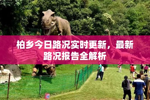 柏乡今日路况实时更新,最新路况报告全解析