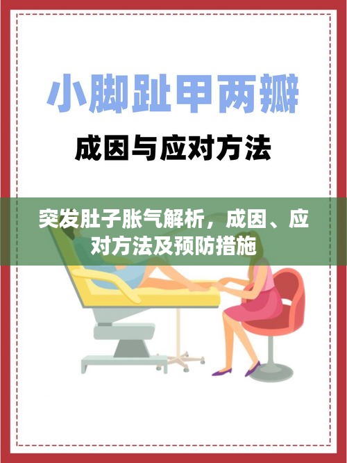 突发肚子胀气解析,成因、应对方法及预防措施