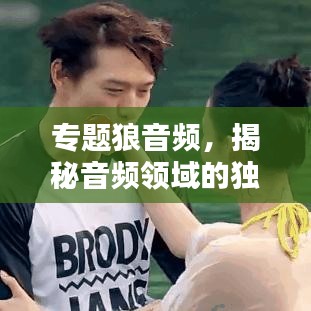 专题狼音频,揭秘音频领域的独特魅力与无限可能