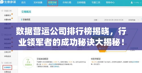 数据营运公司排行榜揭晓,行业领军者的成功秘诀大揭秘!
