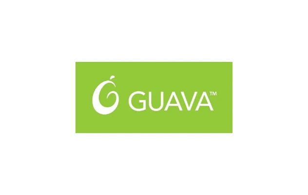guava官方最新下载,迅速设计解答方案 冒险版_v4.469