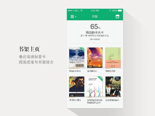 最早版本书旗,前沿解析说明-试用版_v6.793